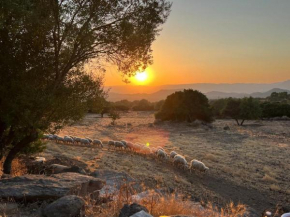 Su Saucu Cala Gonone